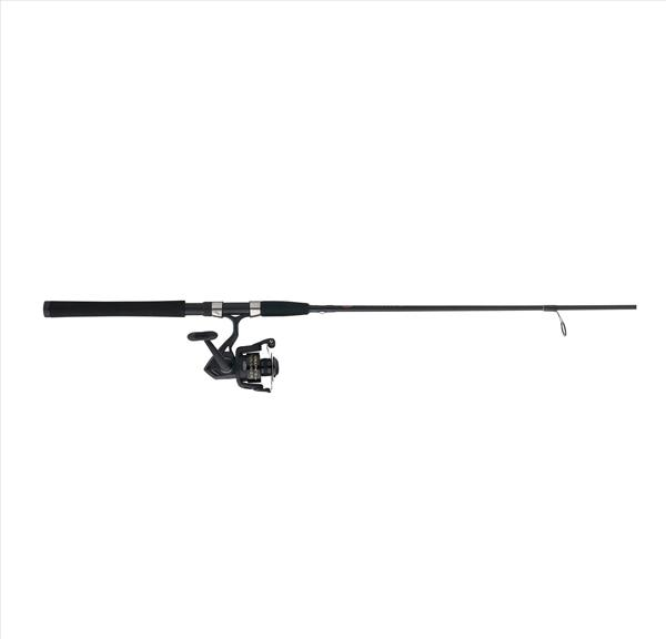 Combo de Spinning Penn Wrath II
