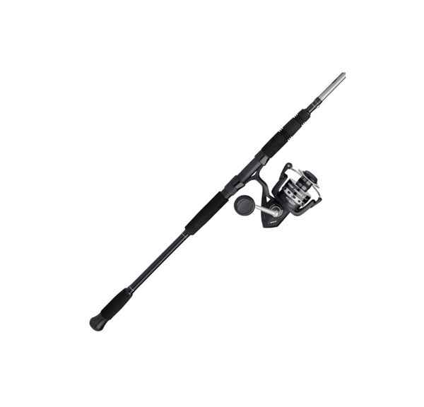 Combo de Spinning Penn Pursuit IV