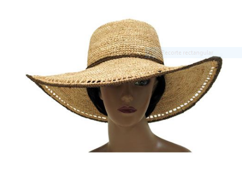 Sombrero de Rafia de Ala ancha