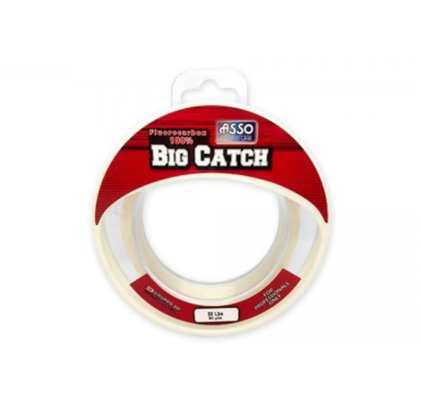 Cuerda Asso Big Cath Fluorocarbono 50yd