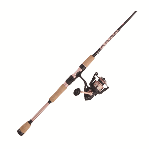 Combo de Spinning Penn Passion II