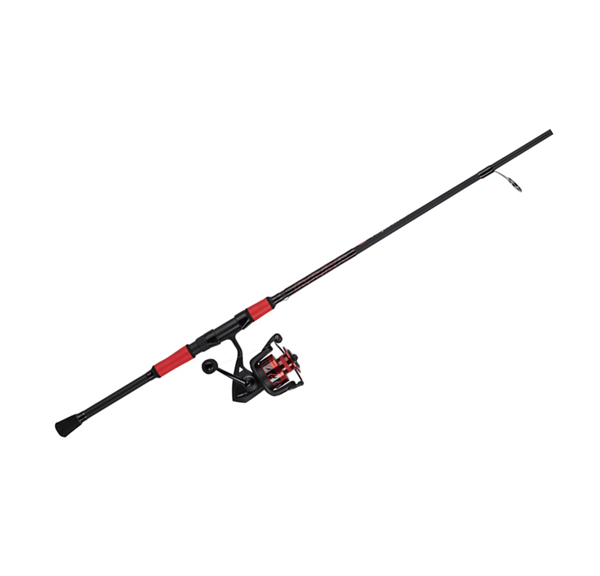 Combo de Spinning Penn Fierce III LE