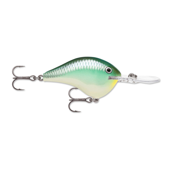 Señuelo Rapala DT (Dives-To) Series - DT