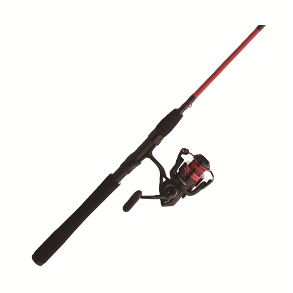 Combo de Spinning Penn Fierce IV