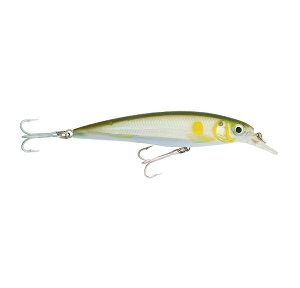 Señuelo Rapala X-Rap Saltwater - SXR