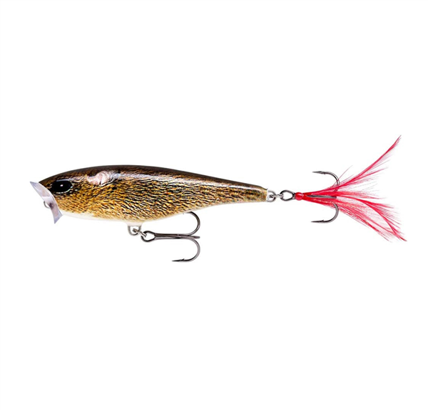 Rapala Skitter Pop Lure - SP 